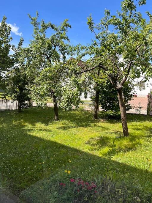 Wunderschoene Wohnung In Perfekter Lage Hilpoltstein Exterior foto